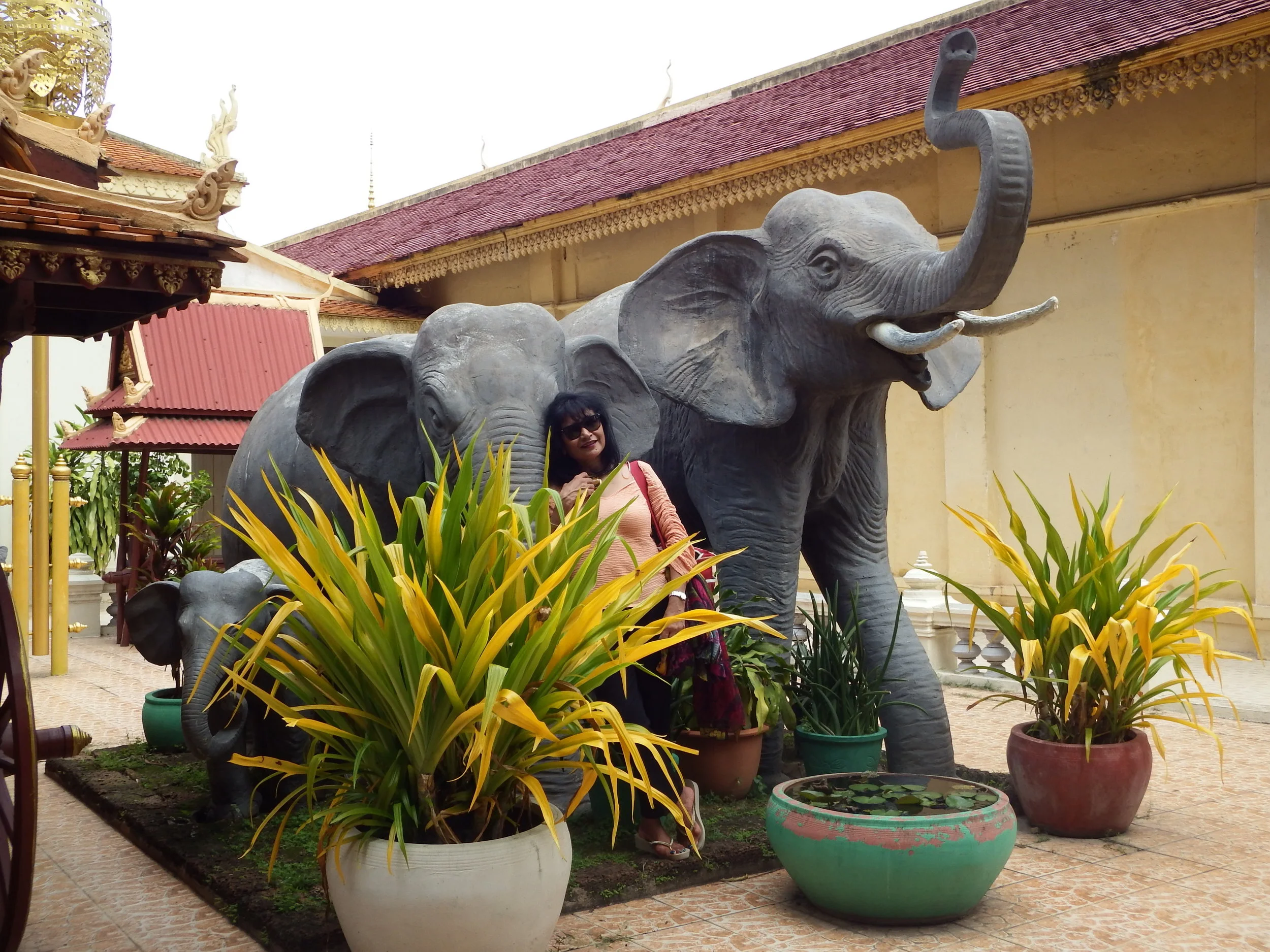 DSCF52631.jpg