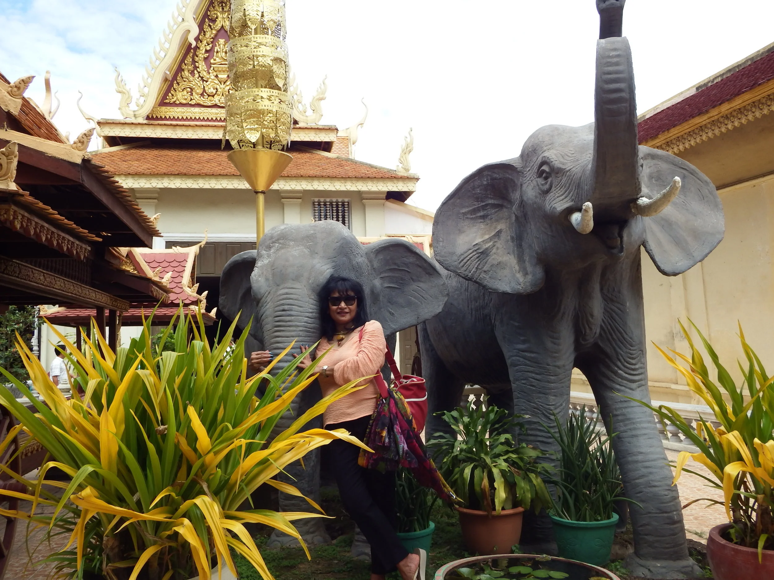 DSCF52641.jpg