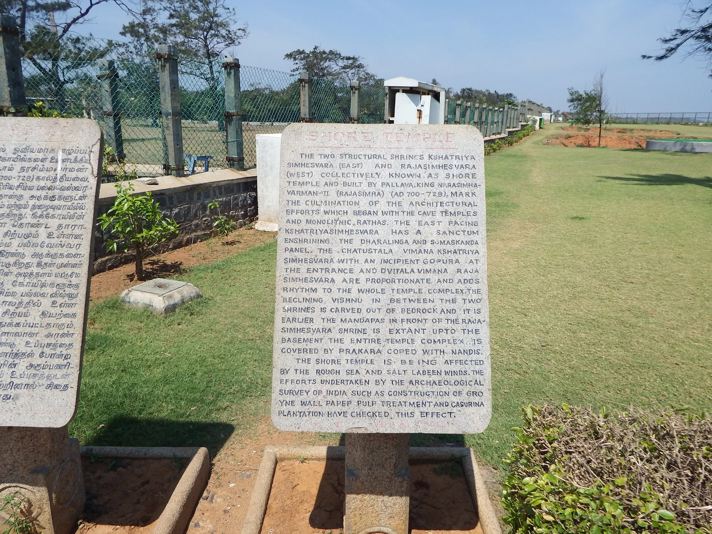 DSCF3124.jpg