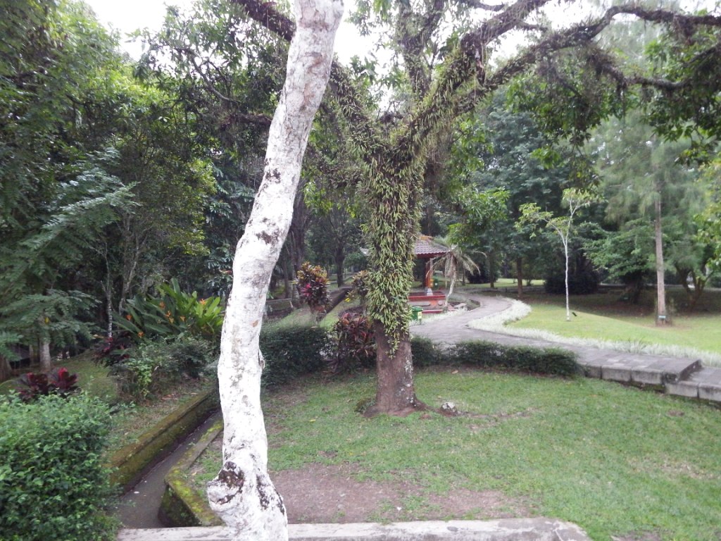 DSCF3610.jpg