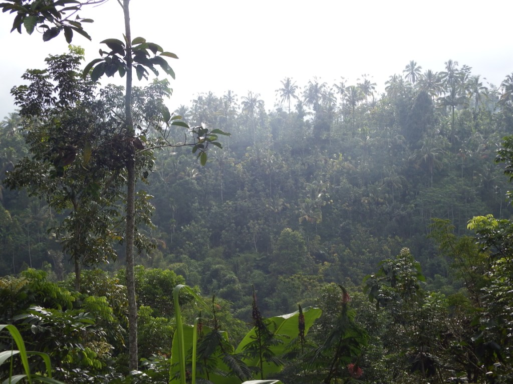 DSCF3713.jpg