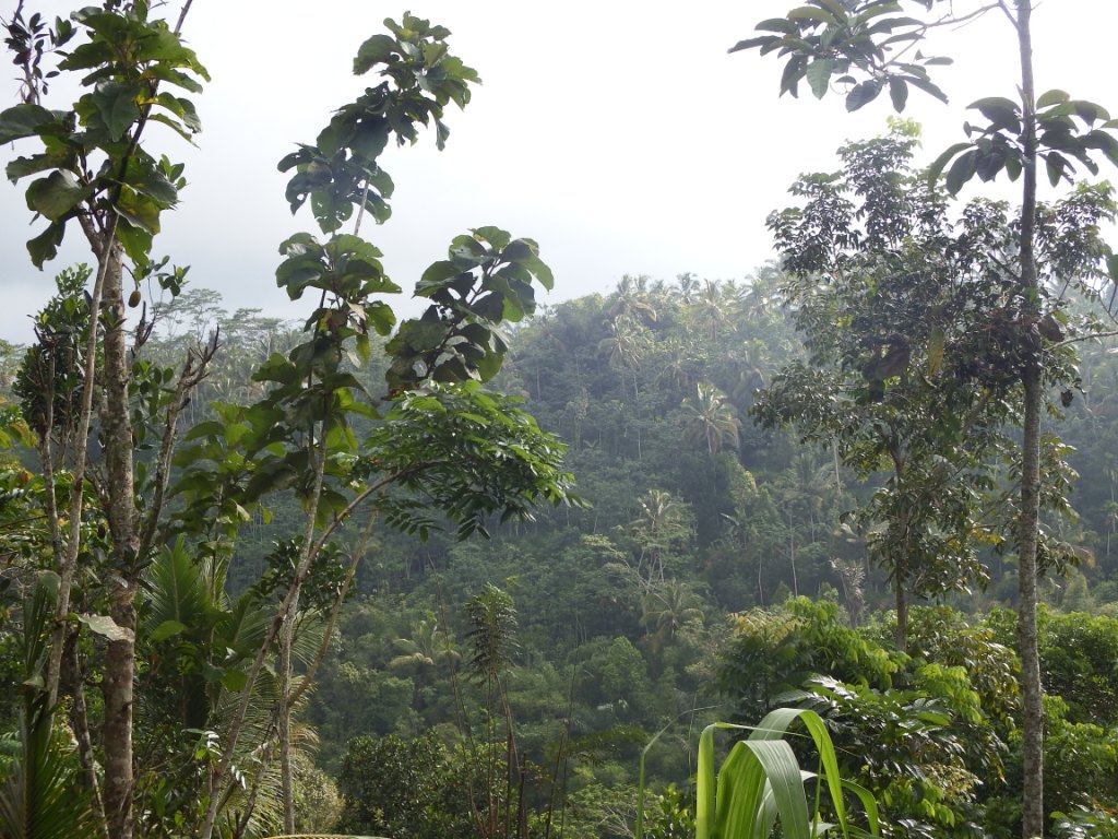 DSCF3714.jpg