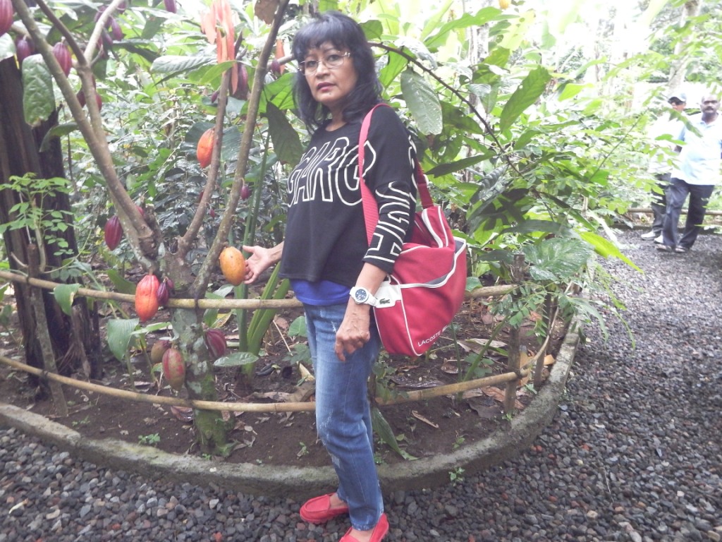 DSCF3732.jpg