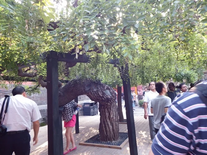156.jpg