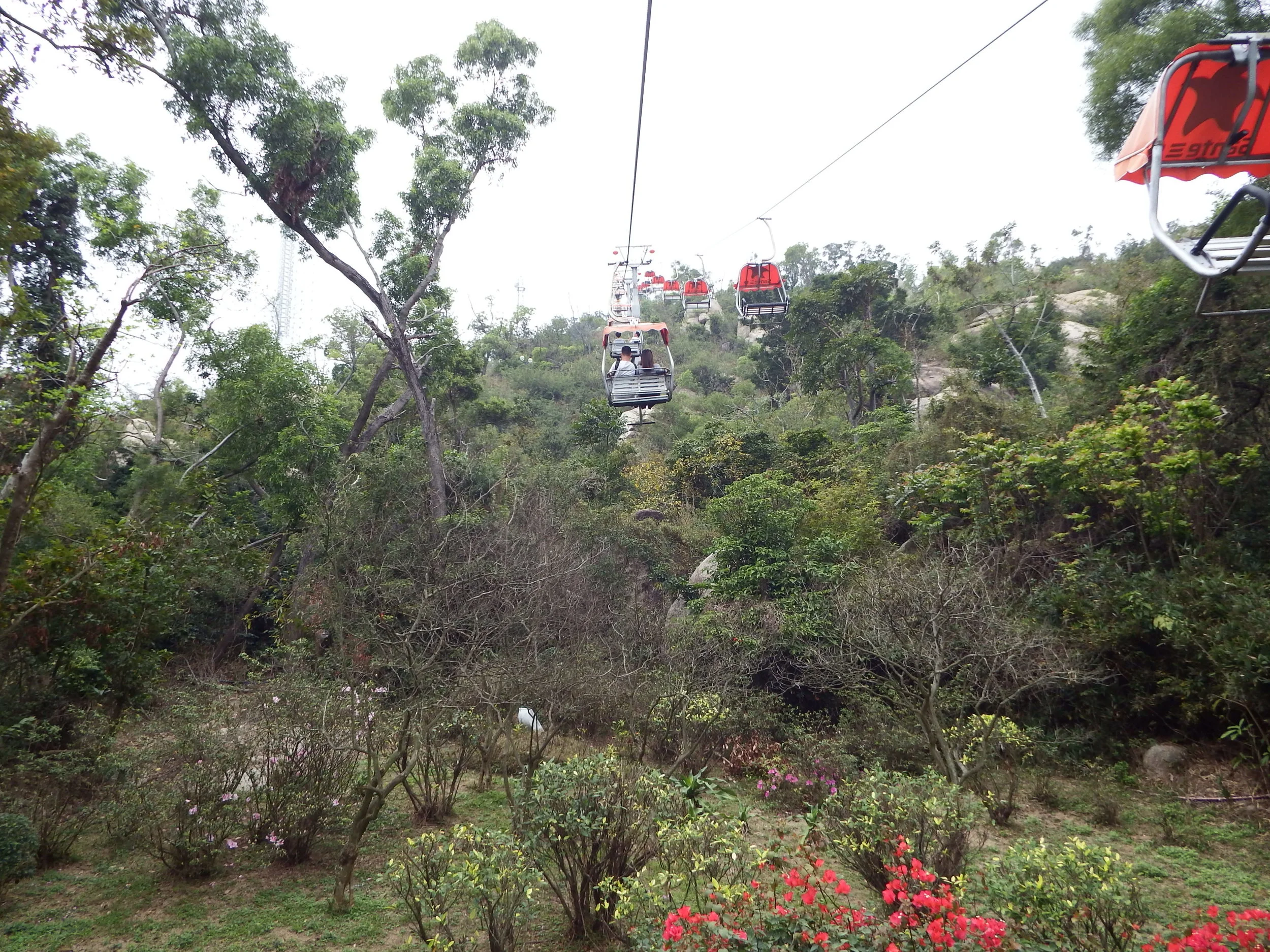 DSCF5913.JPG