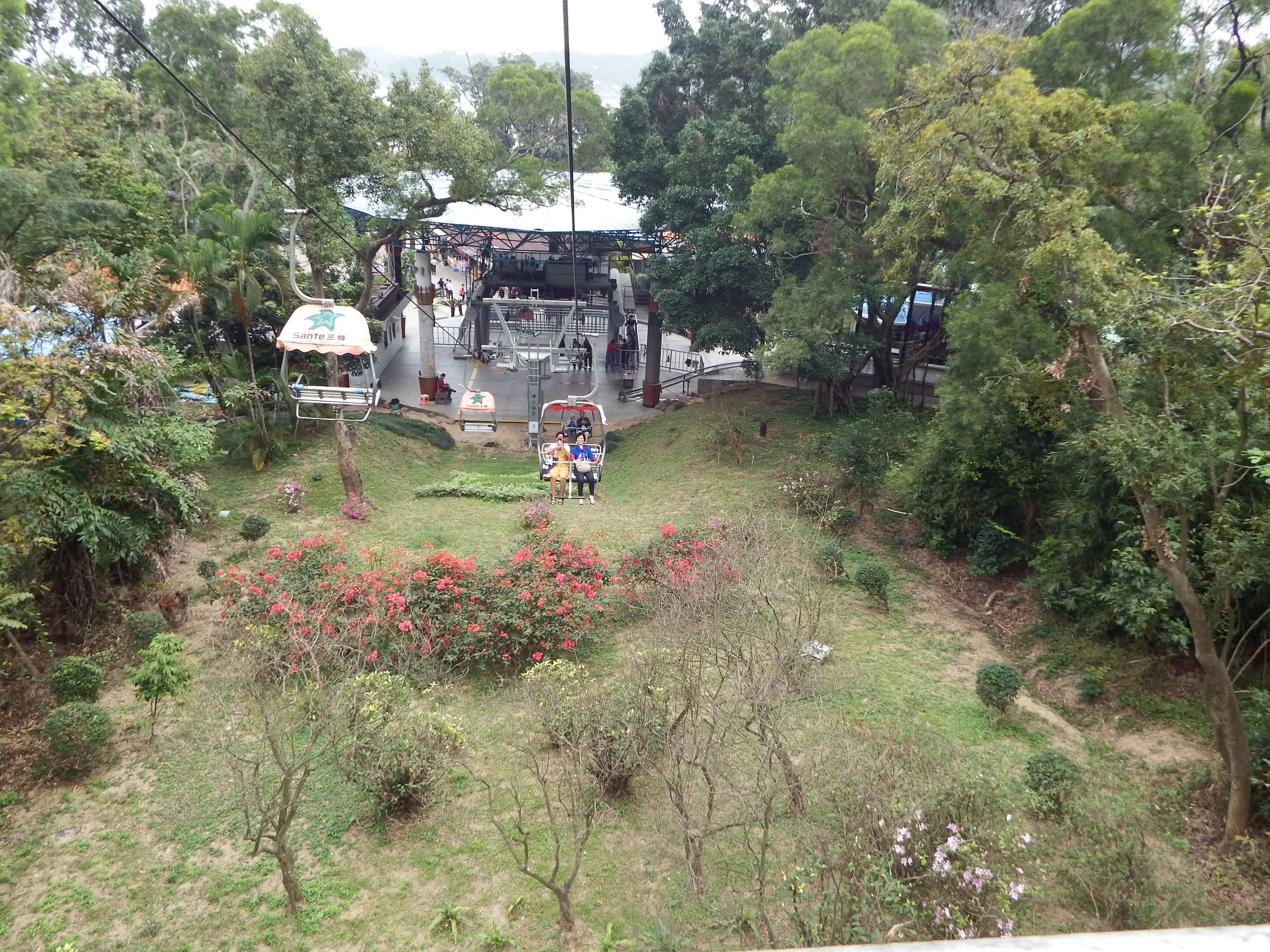 DSCF5914.JPG