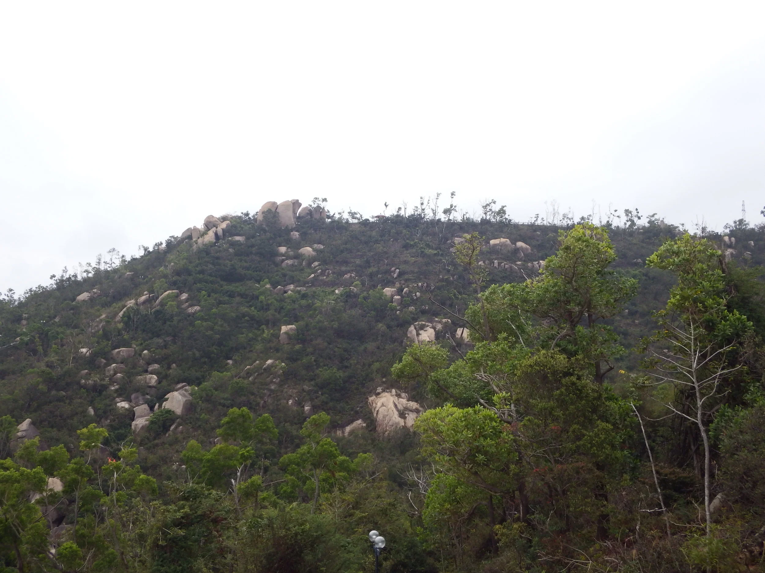 DSCF5918.JPG