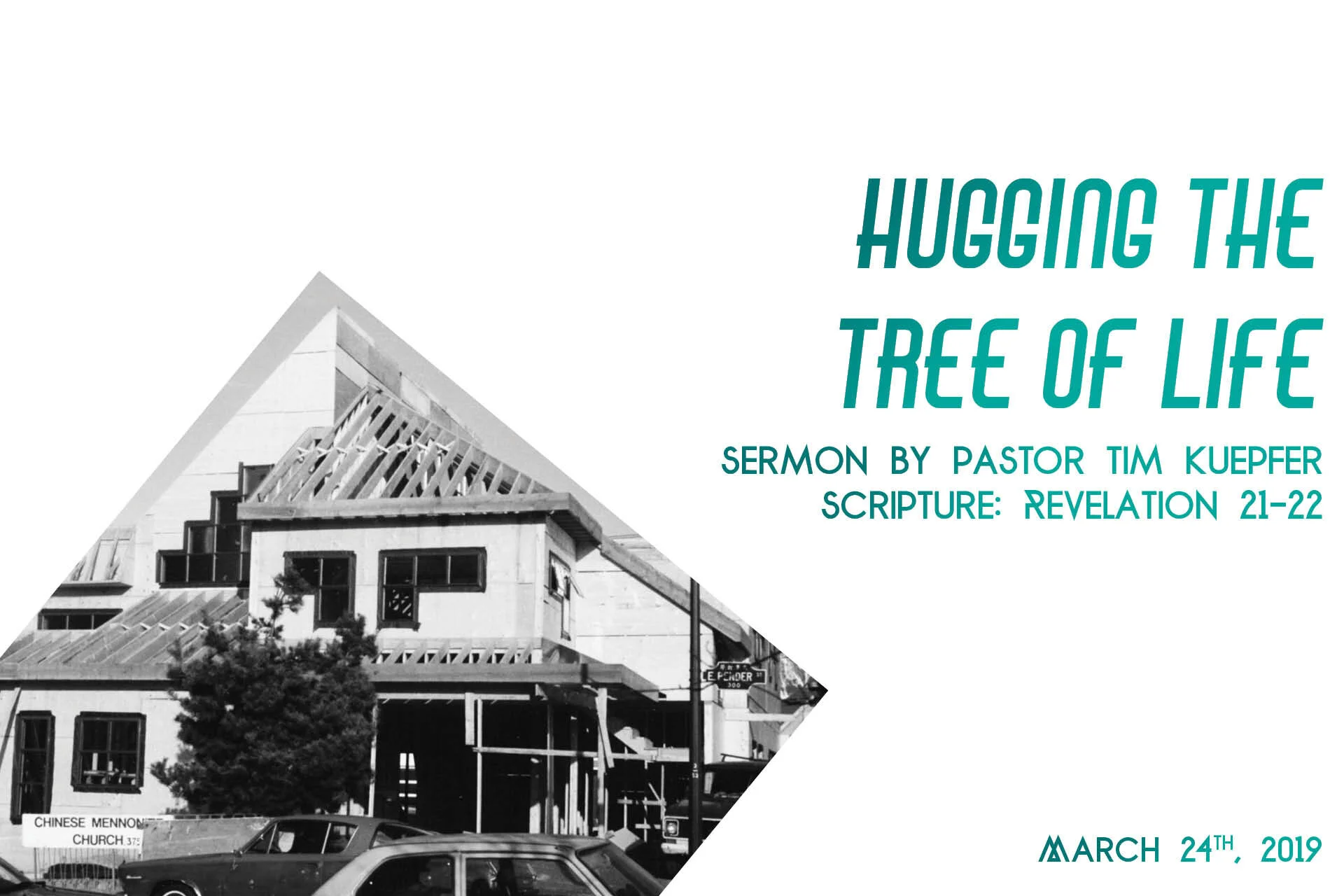 Authentic Relationships 3: Hugging the Tree of Life