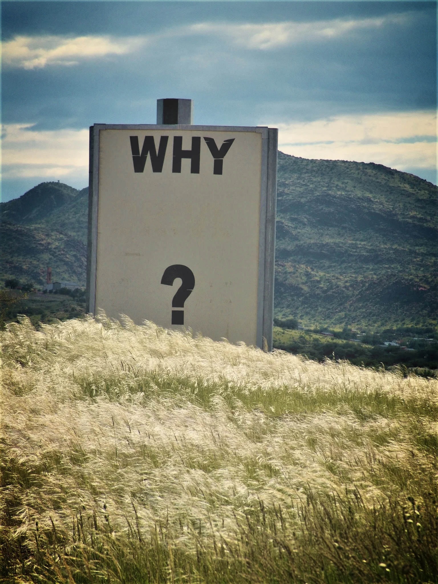 The Why