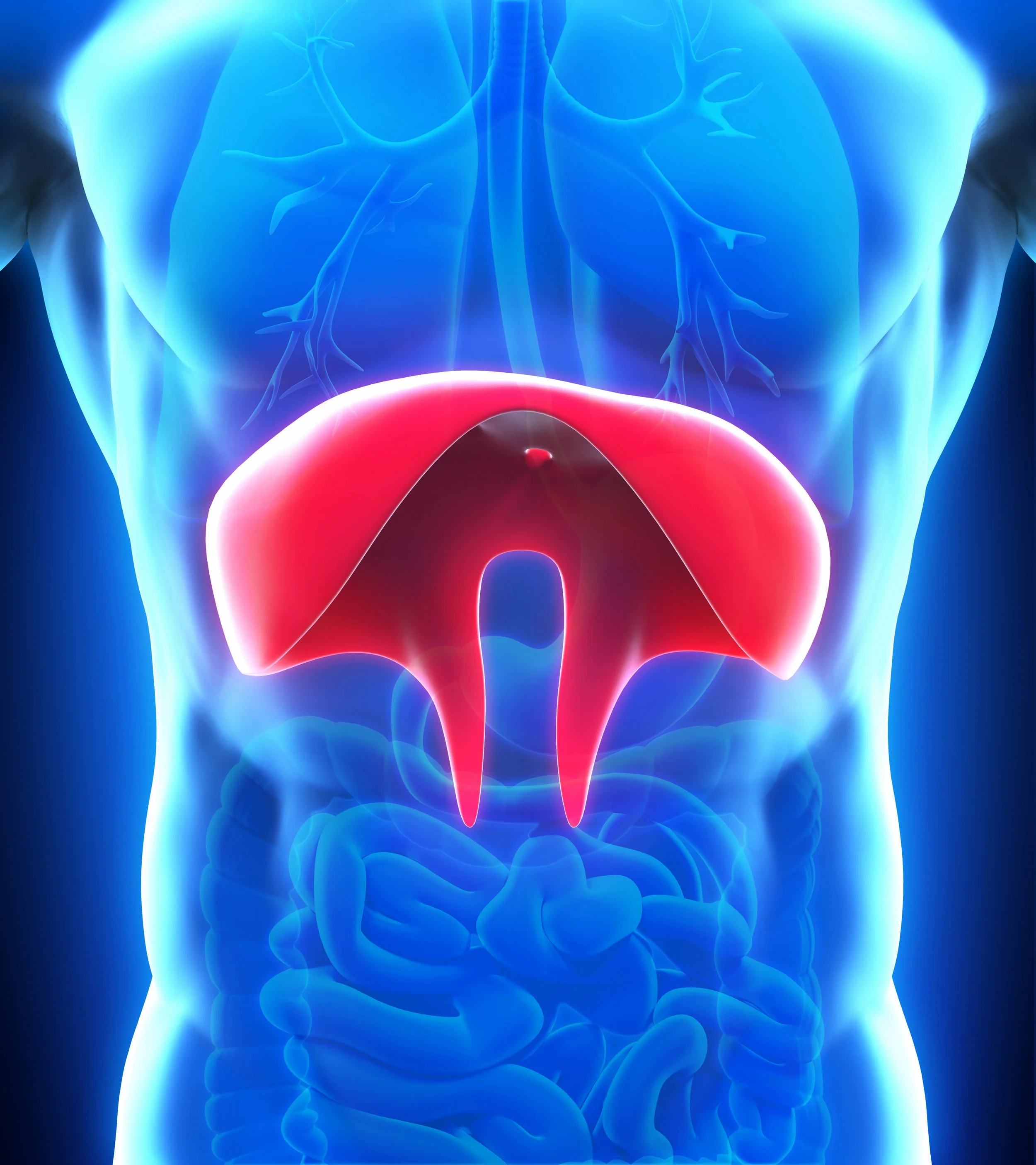 Robotic Right Diaphragm Plication (1:08:54)