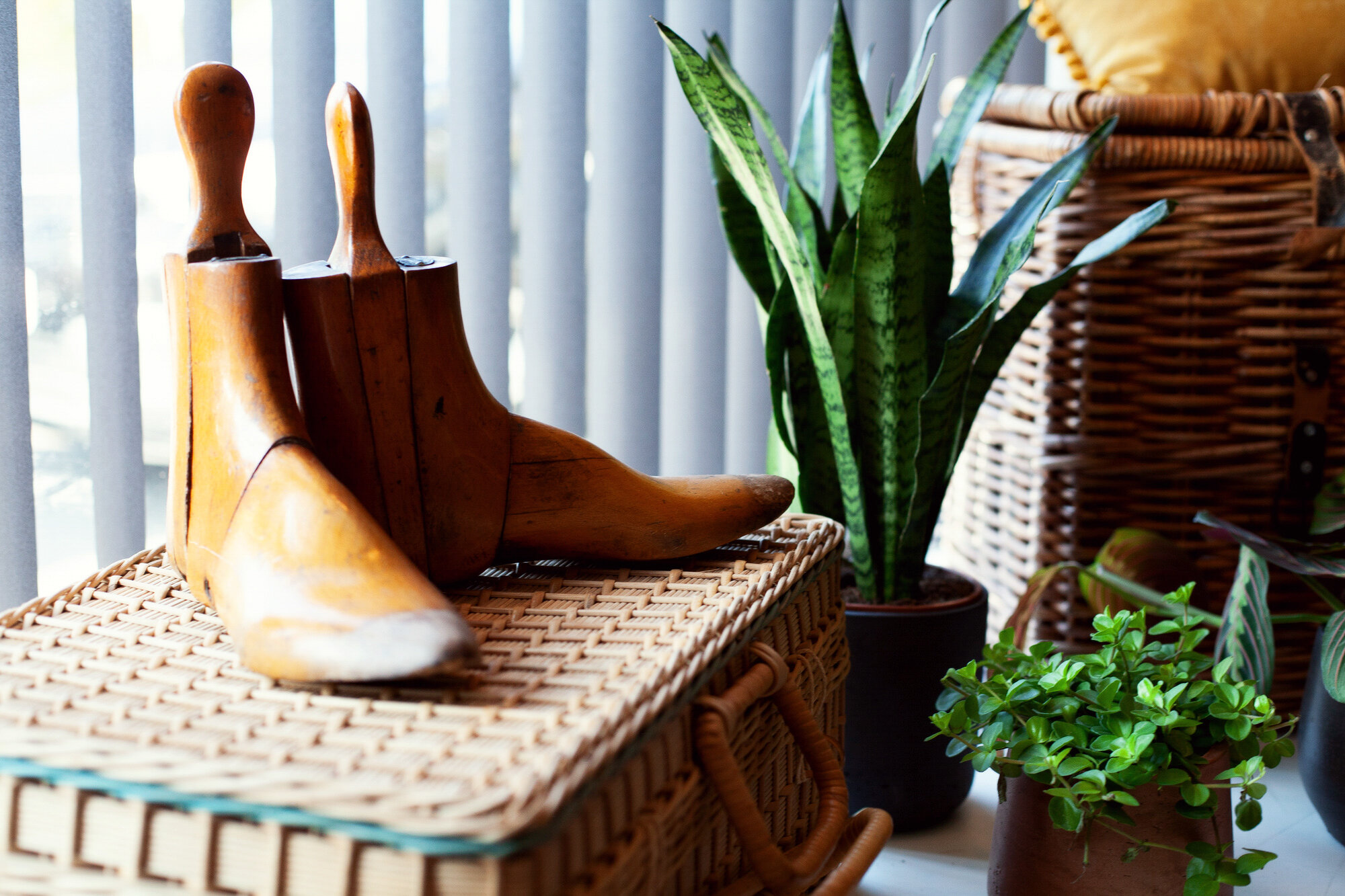 Harold Stephens-115.jpg