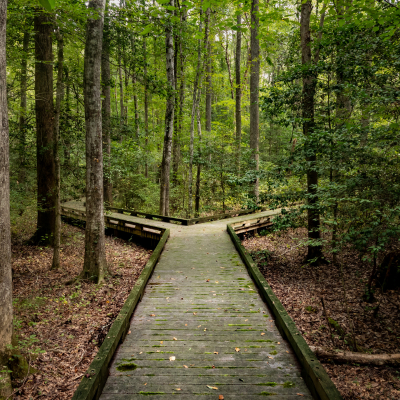 When can I start using a Lasting Power of Attorney?