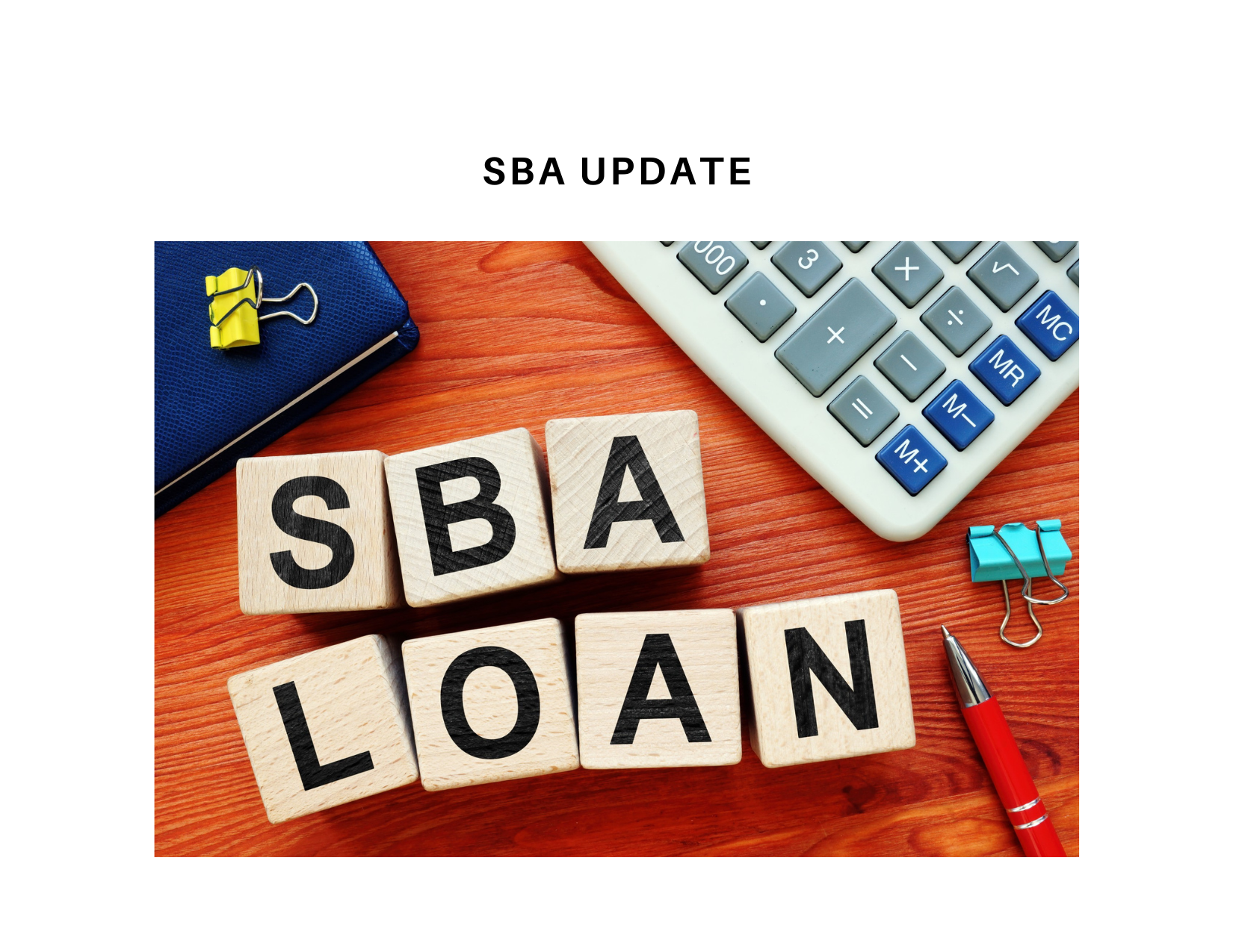 Newsletter VOL 18 Issue 03