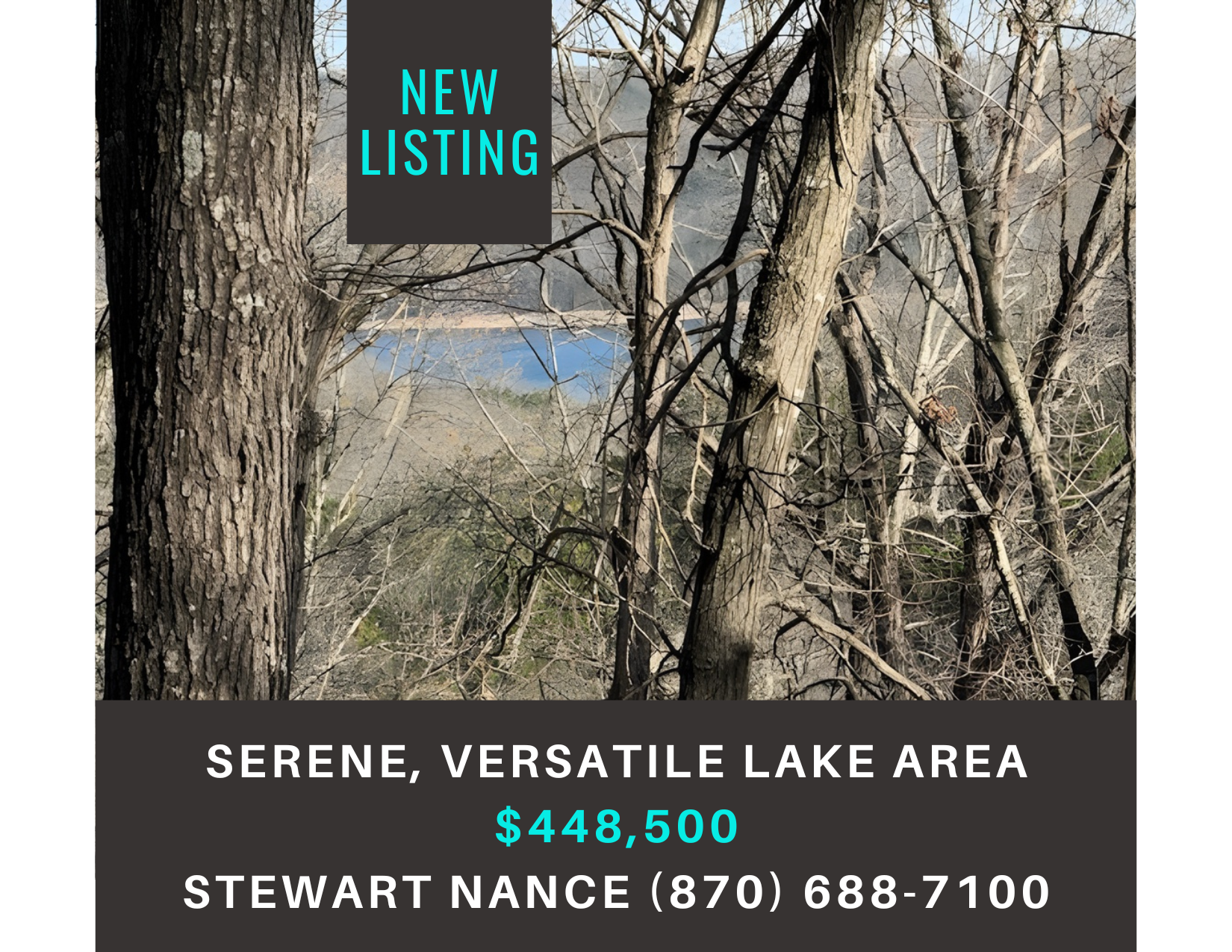       
  
     190 Edgewater Drive, Eureka Springs, AR 72631    Type:  Land, Real Estate, Recreational  Price:  $448,500  MLS:  1341000  Discover 27.61 Acres of Natural Beauty and Versatility … nestled in a serene and private setting. Breathtaking pr
