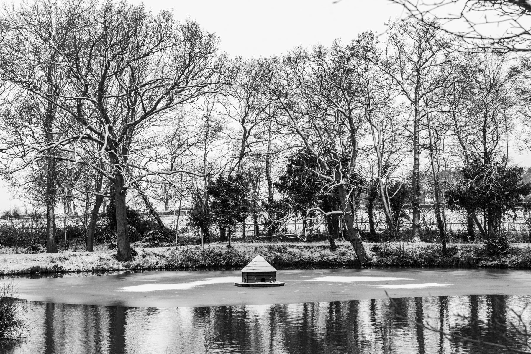 black and white image of the frozen lake and bird house floating in the middle
