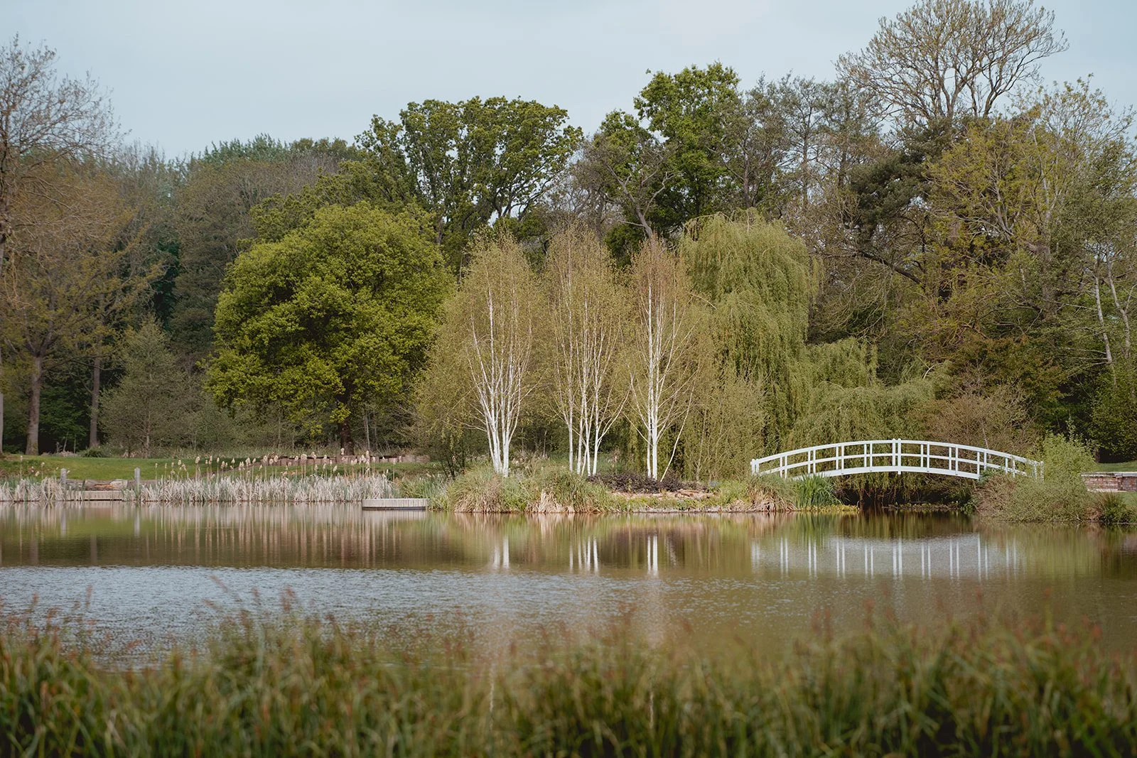 Mr & Mrs Giles-10.jpg