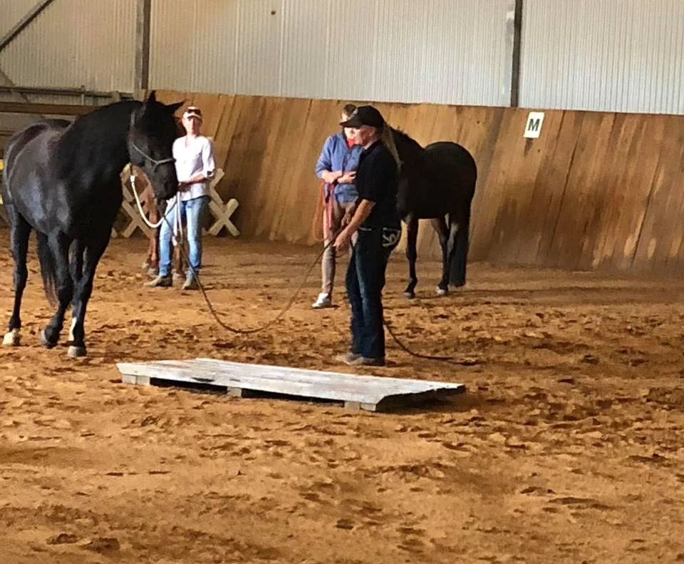 Private & Group Lesson Day