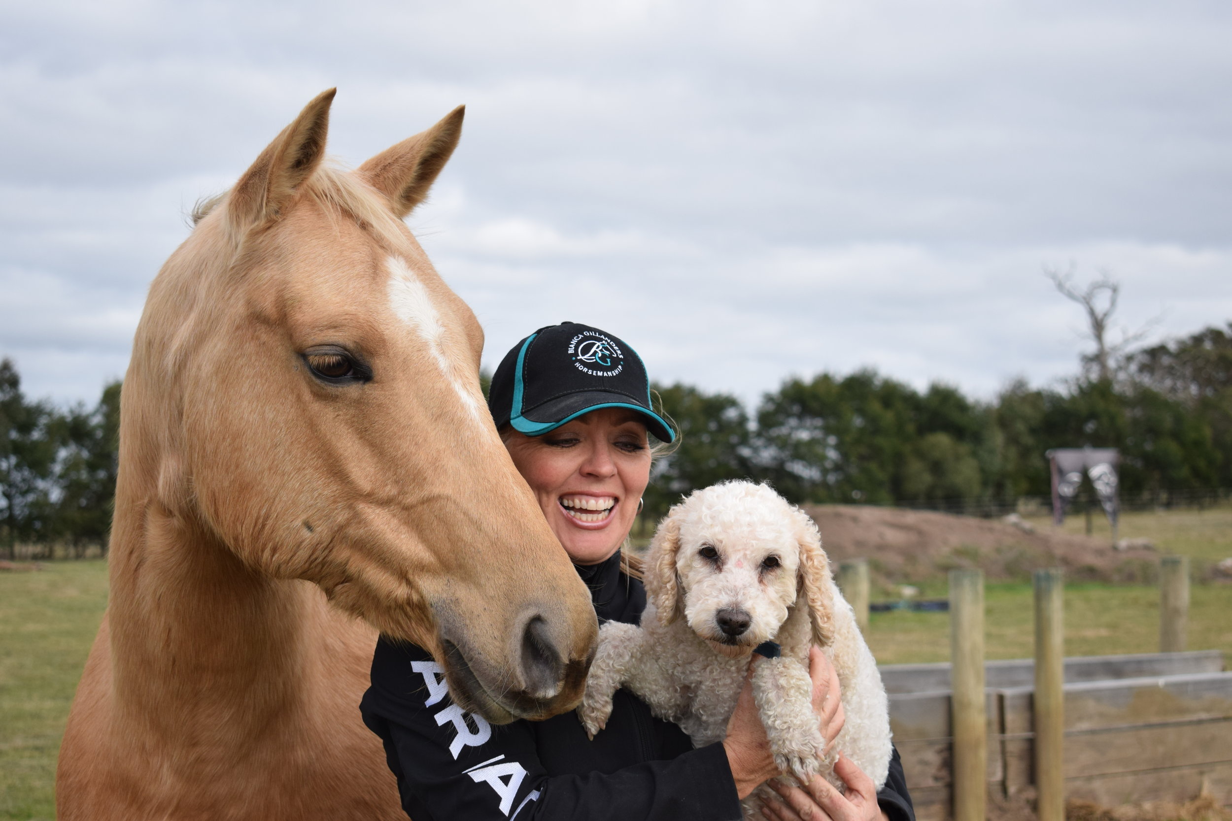 Molly, Bianca and Dandy