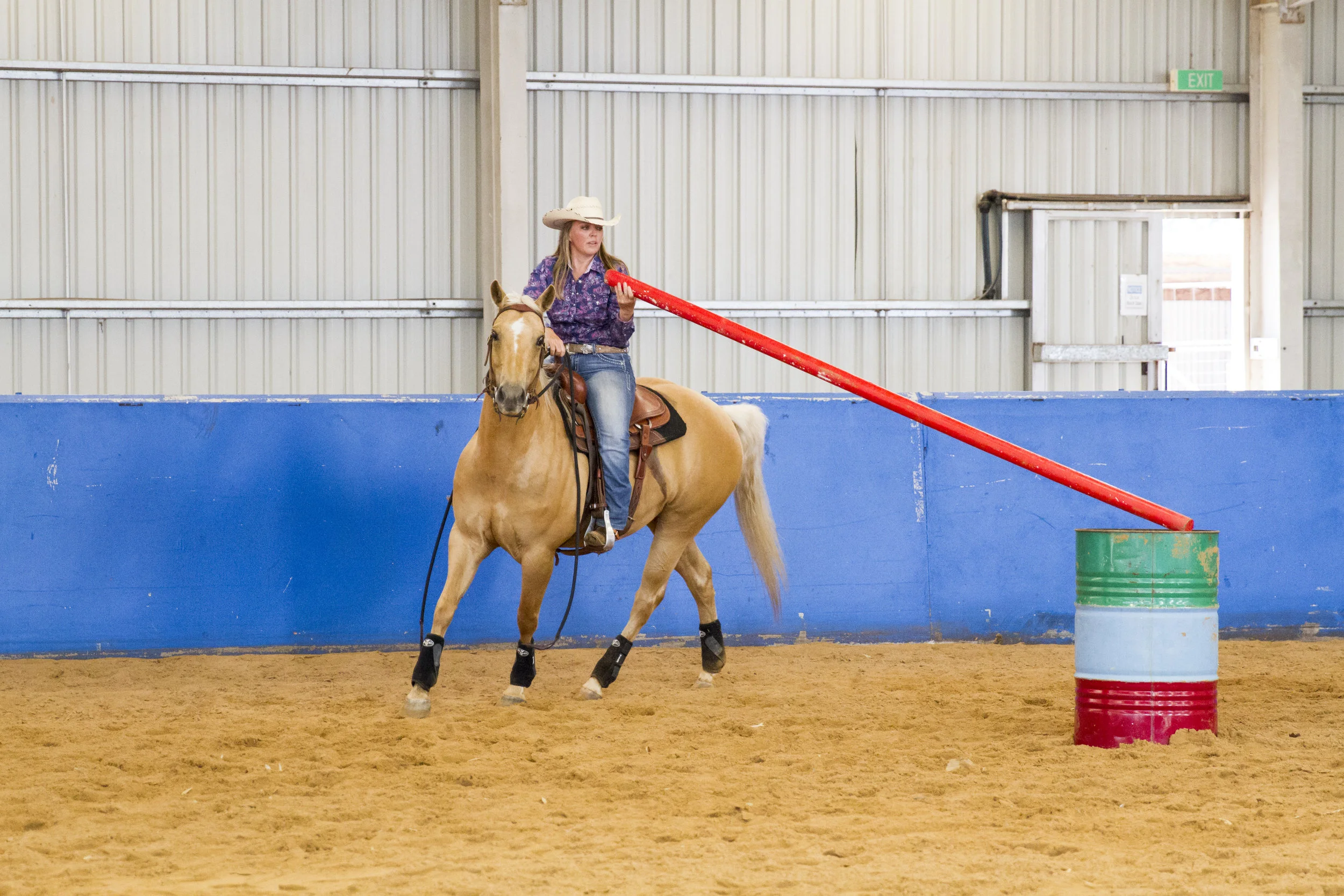 HORSEMANSHIP & OBSTACLES Half Day Clinic