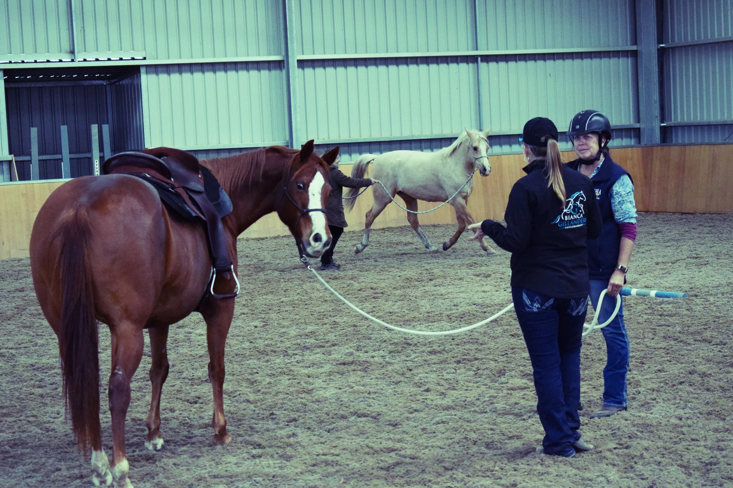 Private & Group Lesson Day