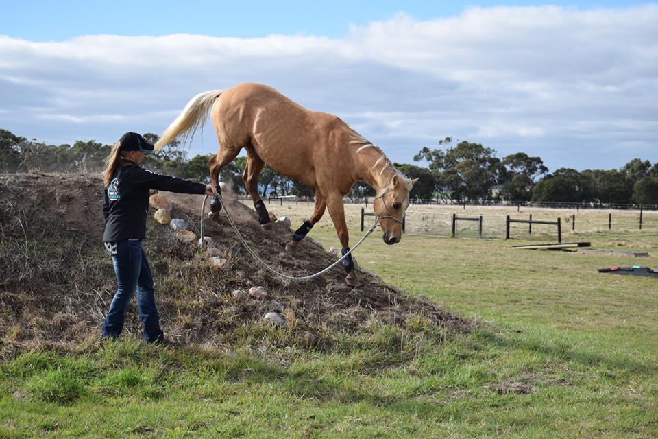 'Training on the Trail' with Bianca