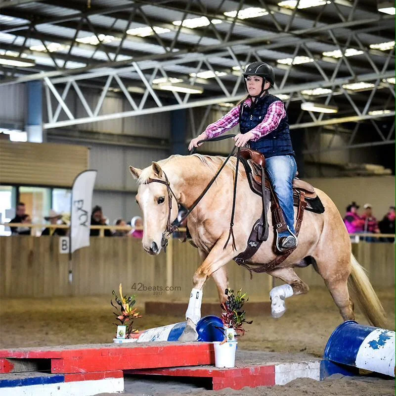 Brave Horse Obstacle Clinic