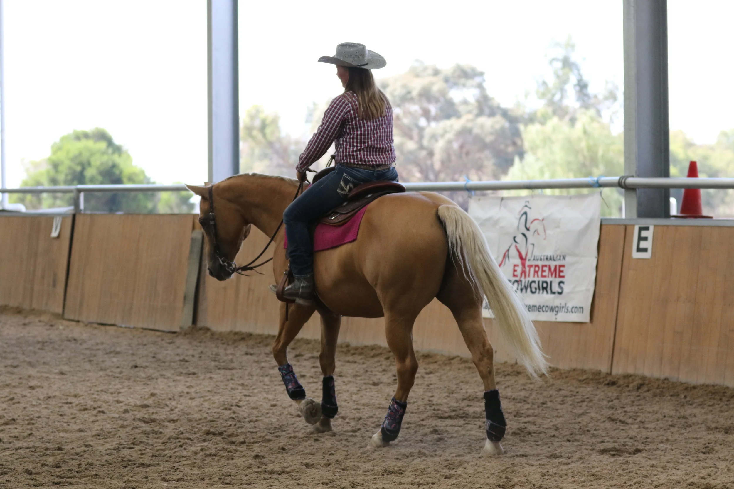 Horsemanship Clinics @ Brookfield QLD