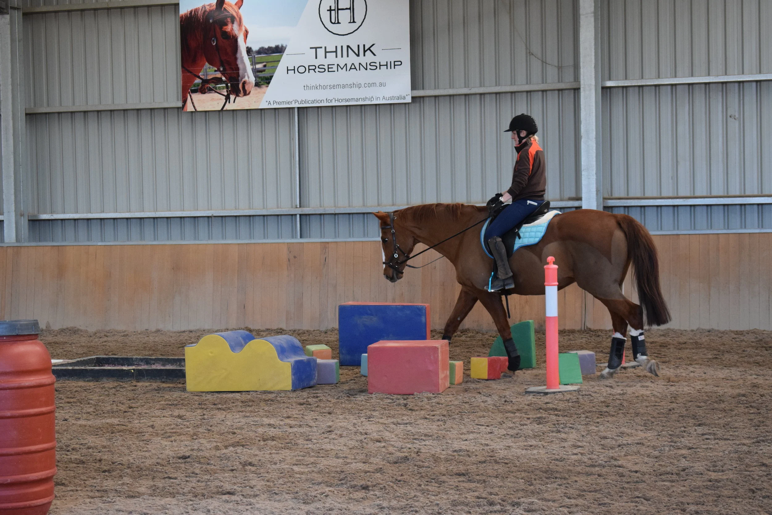 Mini Brave Horse Obstacle Clinic &amp; Private Lessons