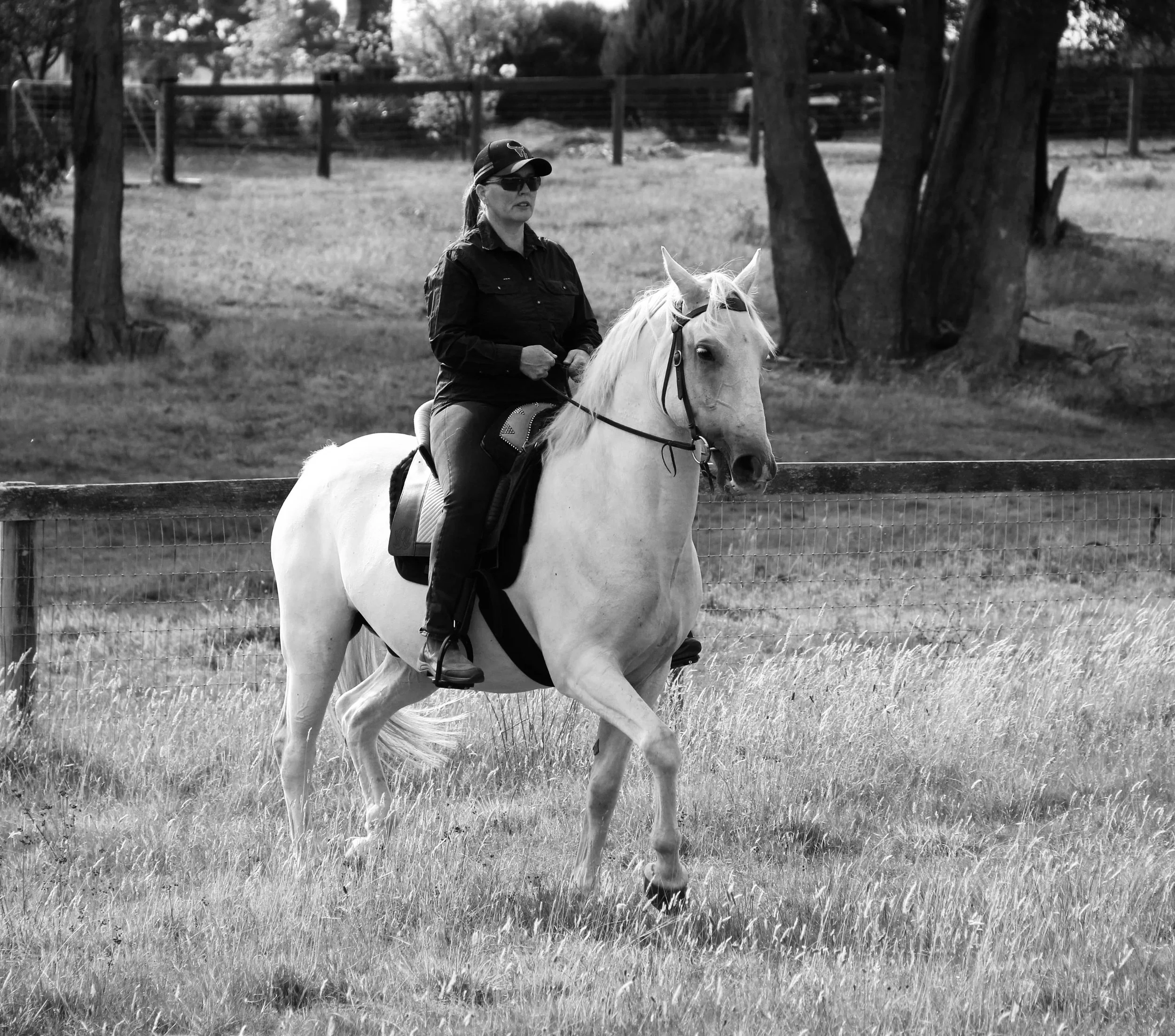 'Back to Balance' Equitation Workshop 