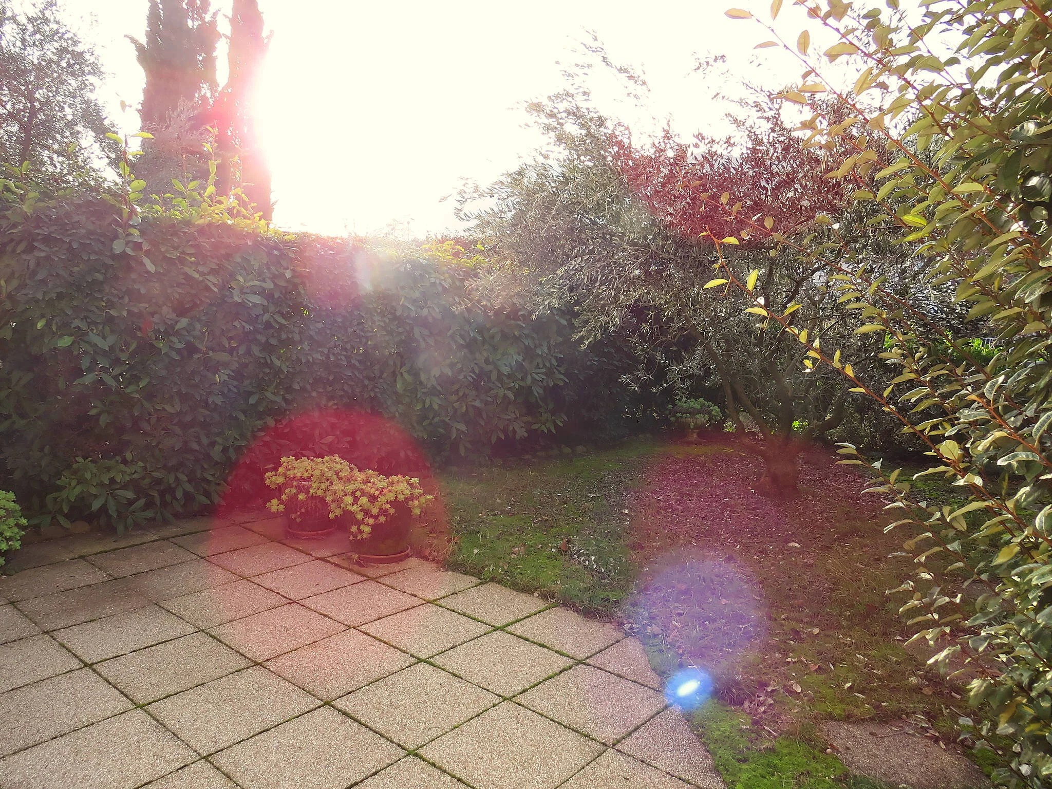IMG_5841_OK.jpeg