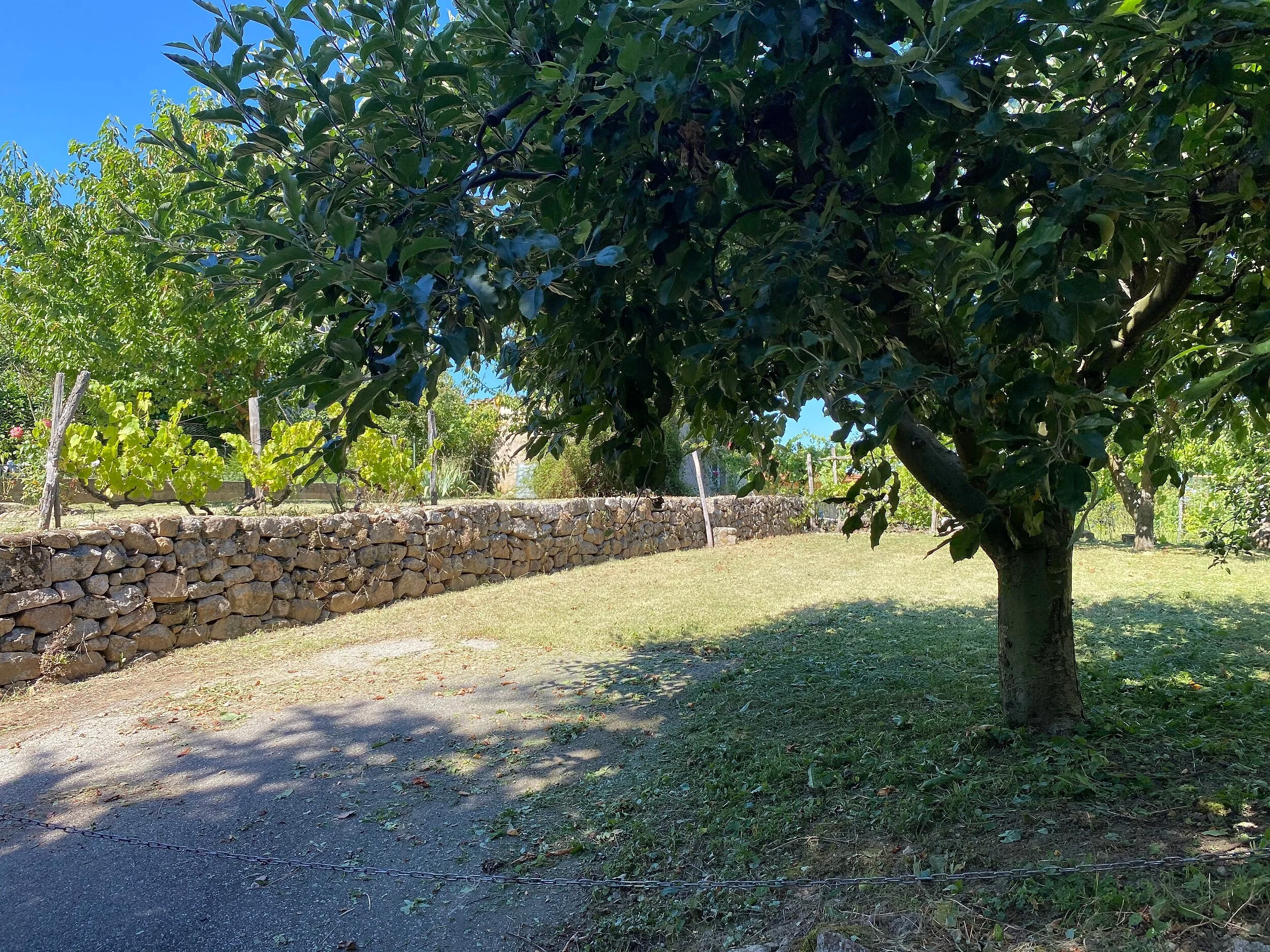 IMG_3499.jpeg