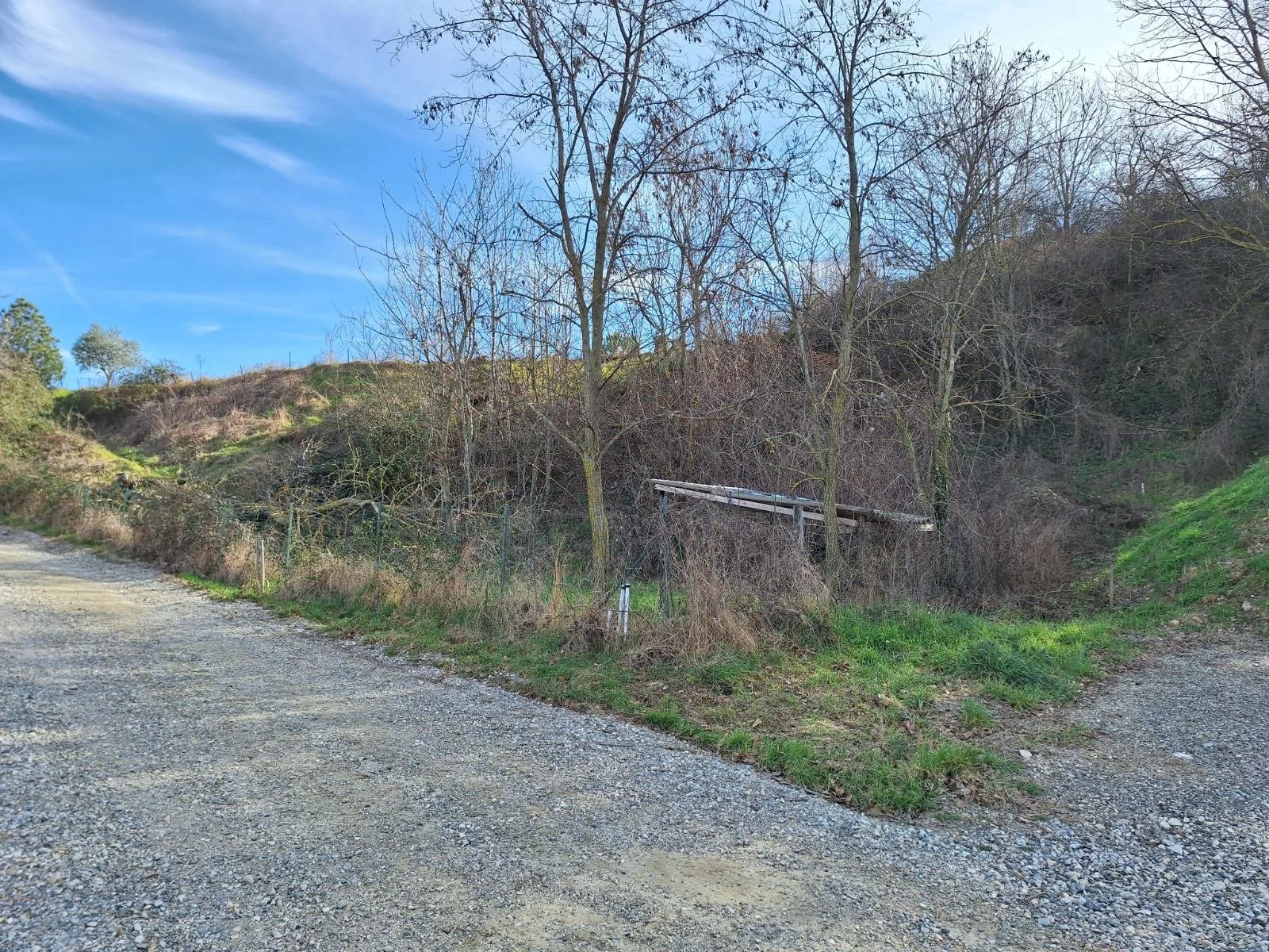 image0000001 (4).JPG