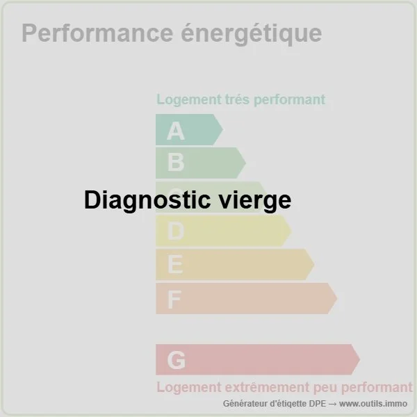 2021_DPE_vierge_1__GES_vierge_1___outils.immo.jpg