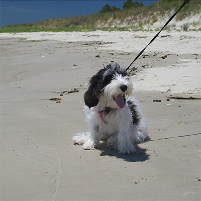 Beach Walk.