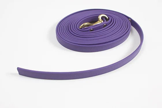 Biothane-Leash-nohandle.jpg