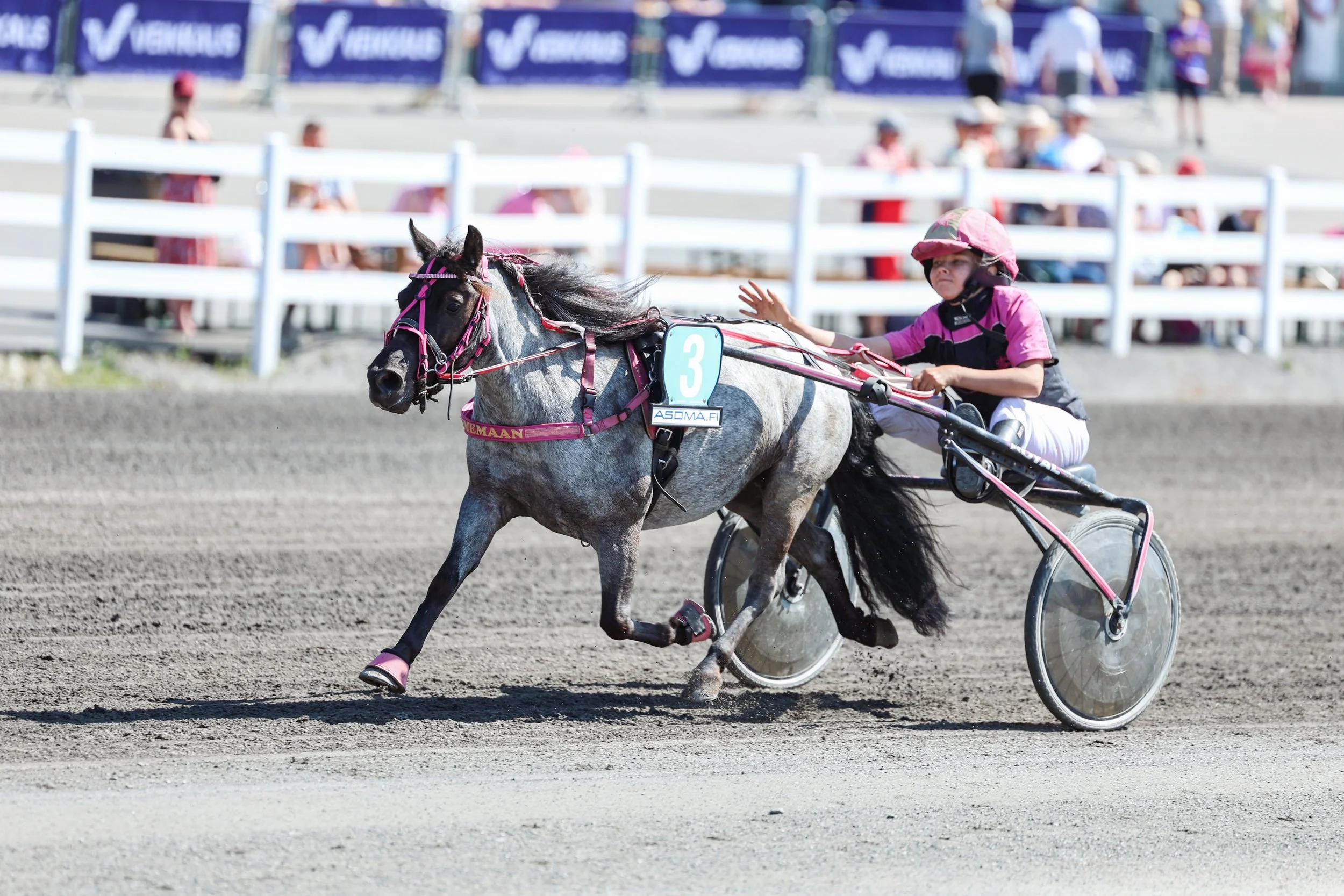 stenbydals-castilla---amanda-hnninen---mikkeli-1972025---kuvaaja-maisa-hyttinen_54663695972_o.jpg