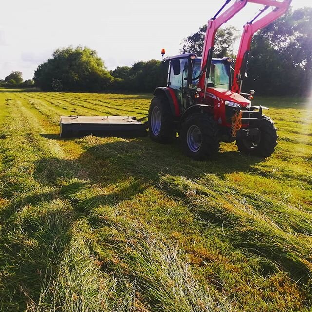 Finished mowing for the day..... I just can't cut it anymore.

#mowing
#masseyferguson
#silage
#hay
