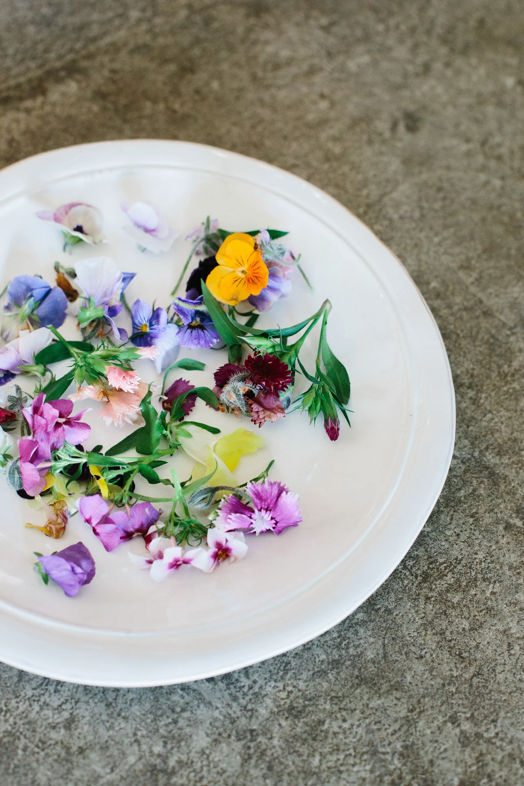 4. Kalice Brun_Edible Flowers.jpg