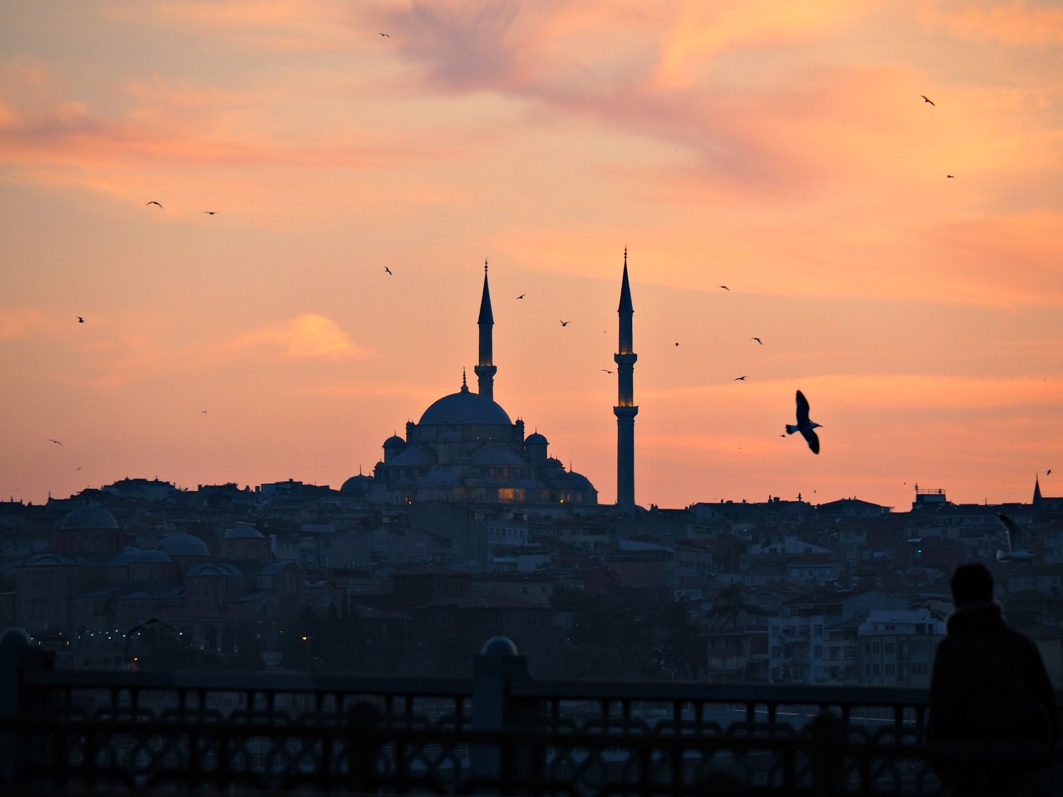 Istanbul December, Sunset over a mosque with birds flying