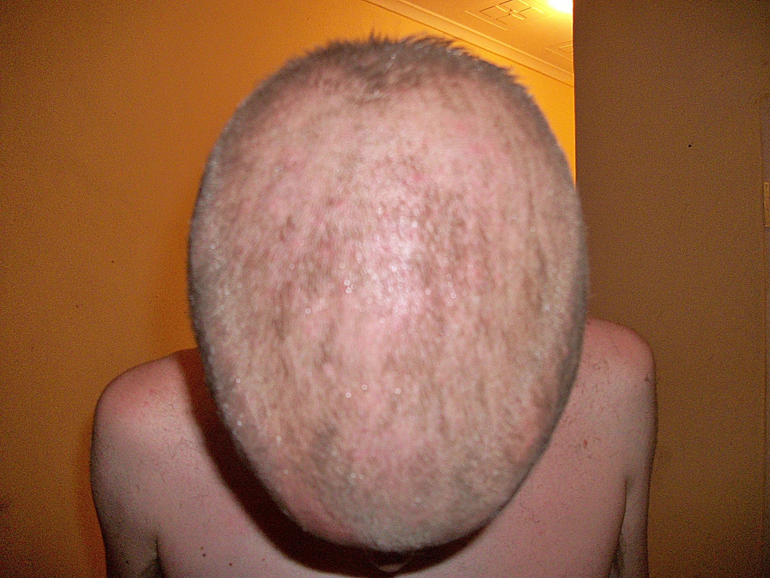The work of a ‘natural’ hairdresser.
