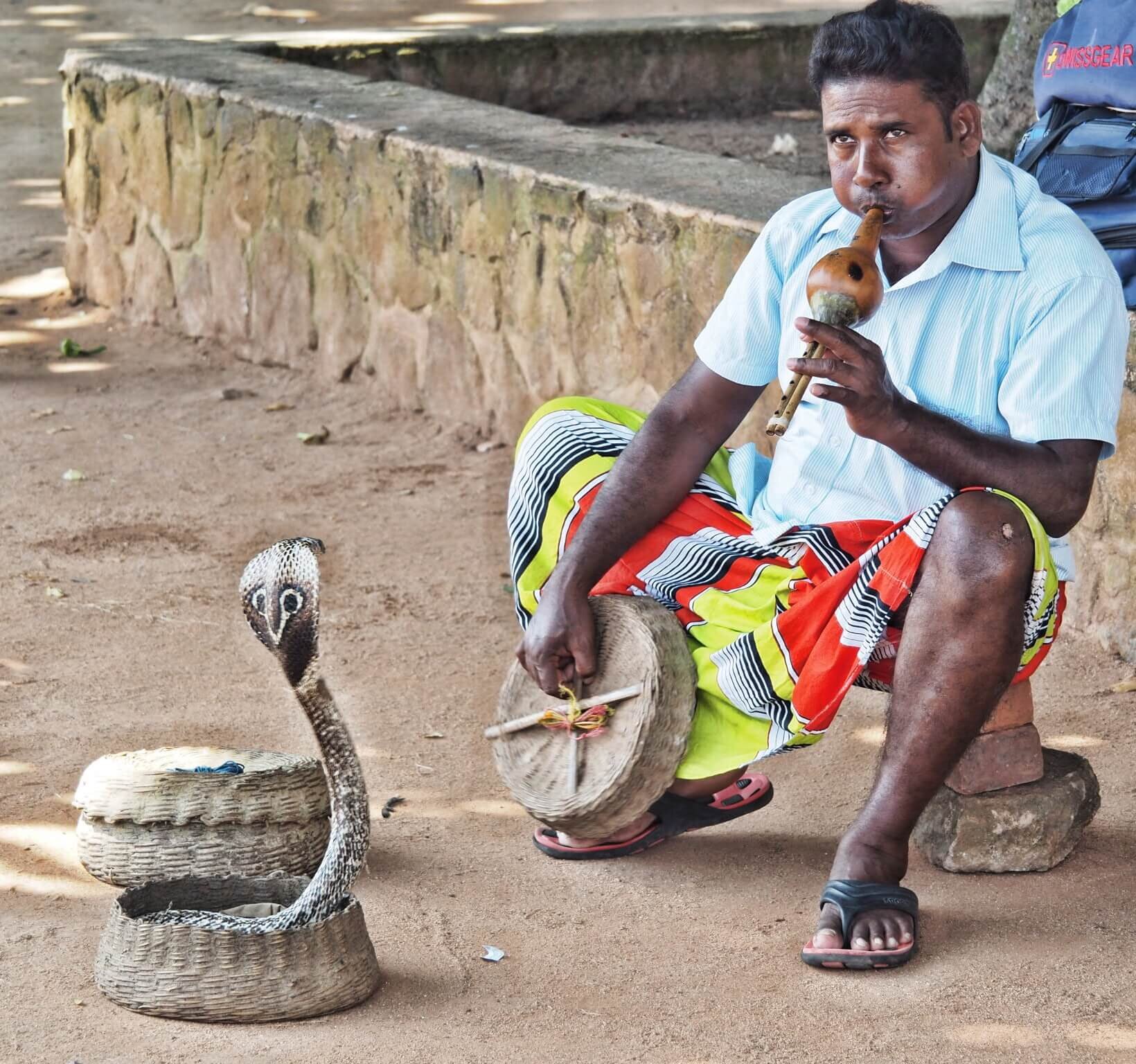  With snake charmers… 