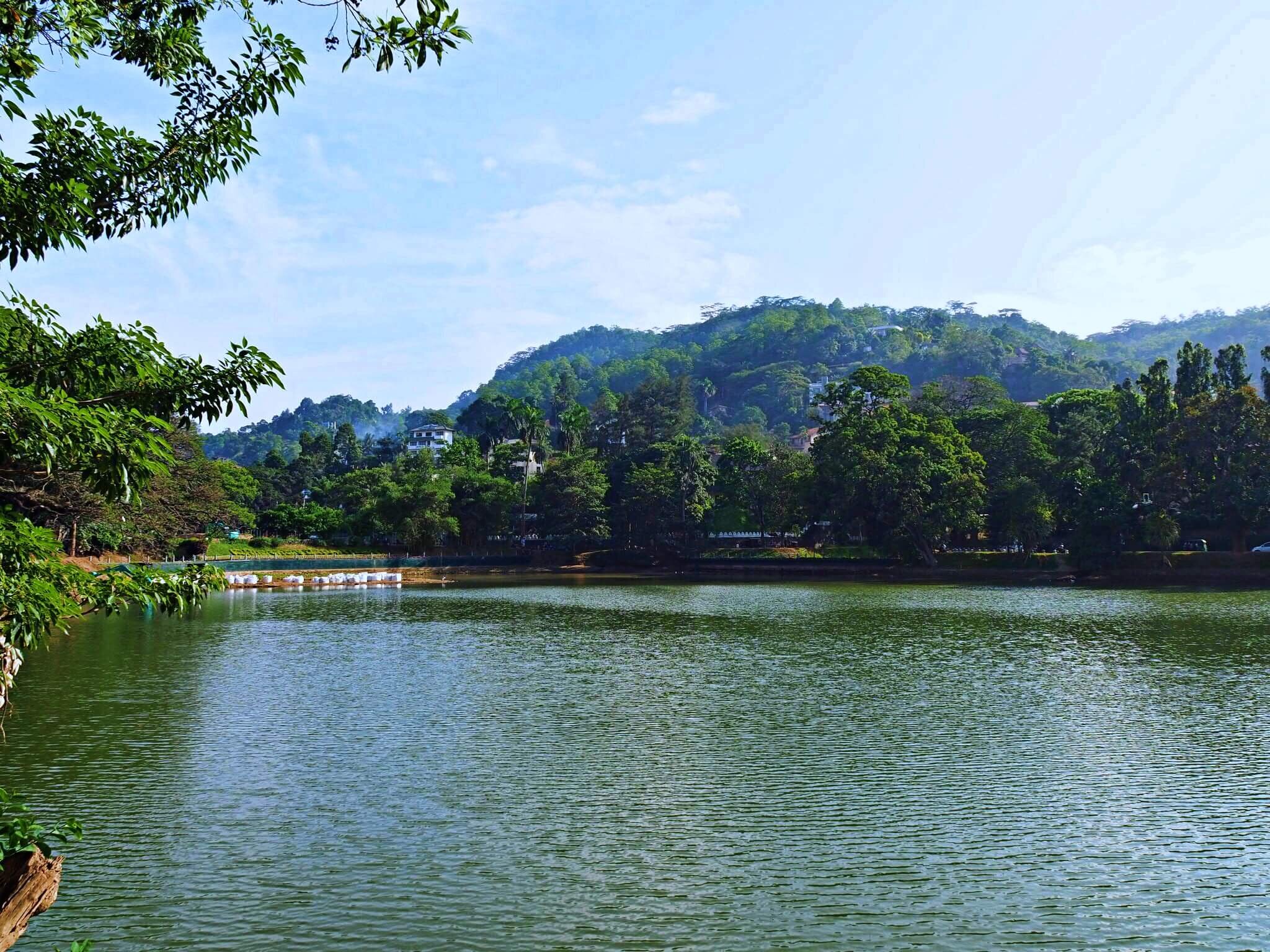  Once in Kandy, take a relaxing walk around the beautiful Kandy lake… 