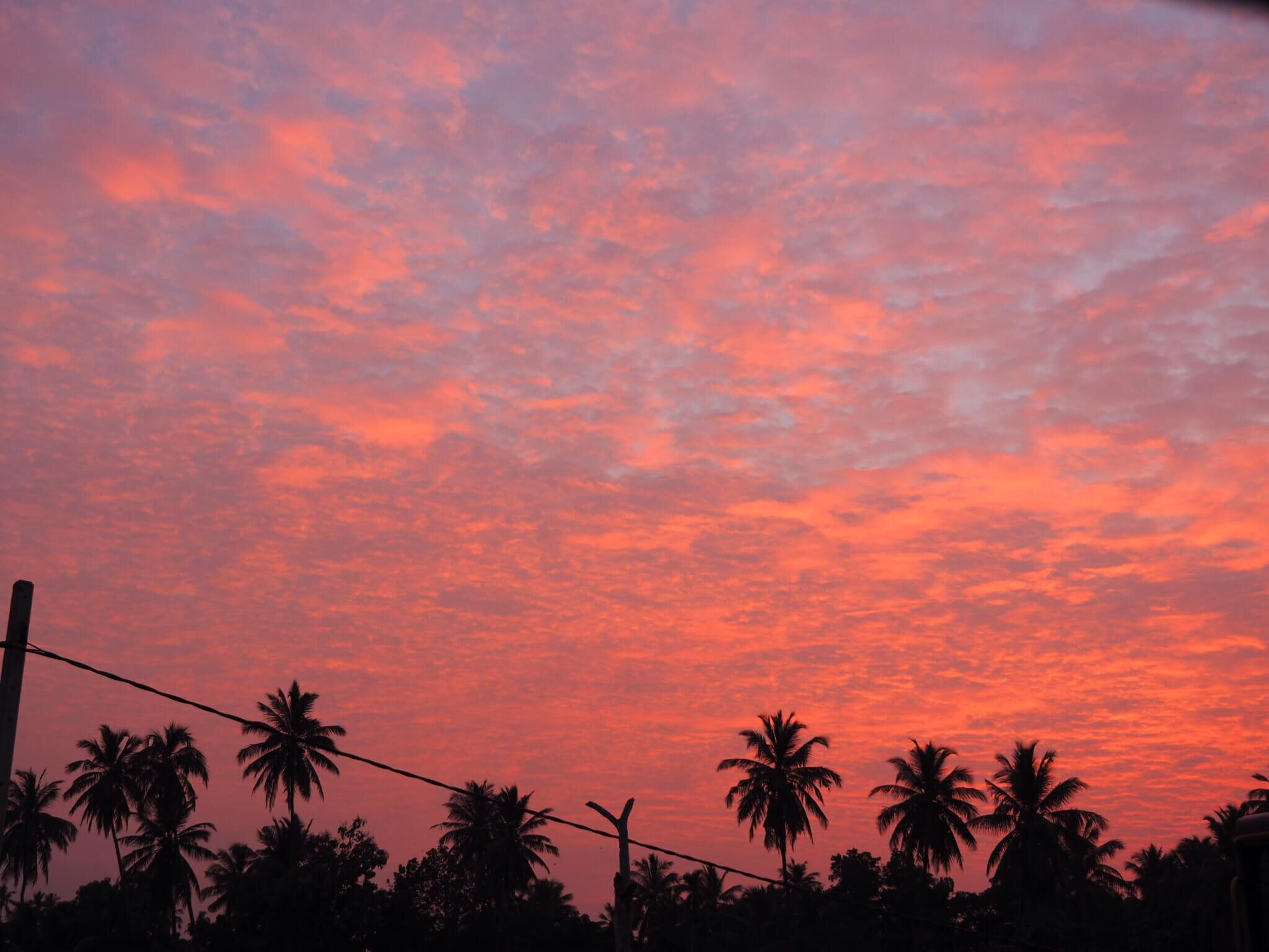   Have you been to    Sri Lanka?    Let us know in your comments below! We are already planning our next trip, this time to explore the North and East of the country. It’s always good when a country leaves you wanting more!  