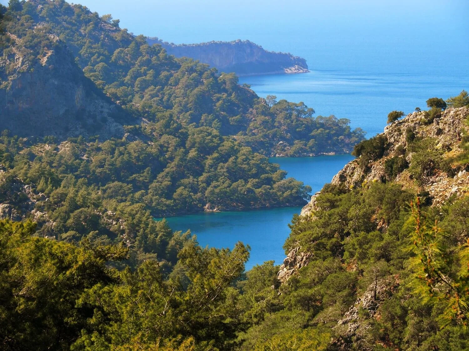 Curfews, carbs and corona - life in Turkey when nomadic is a no-no
