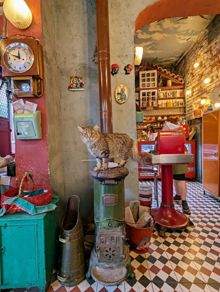 A cat purchases on an old soba stove at Cafe Naftalin in Balat in Istanbul