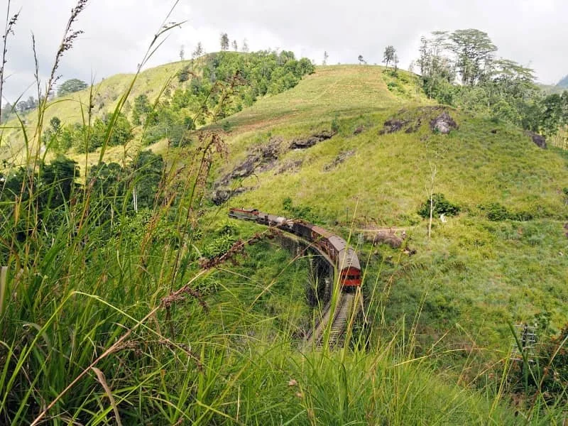 A train travels amongst the hills on the Demodara railway loop in Ella Sri Lanka