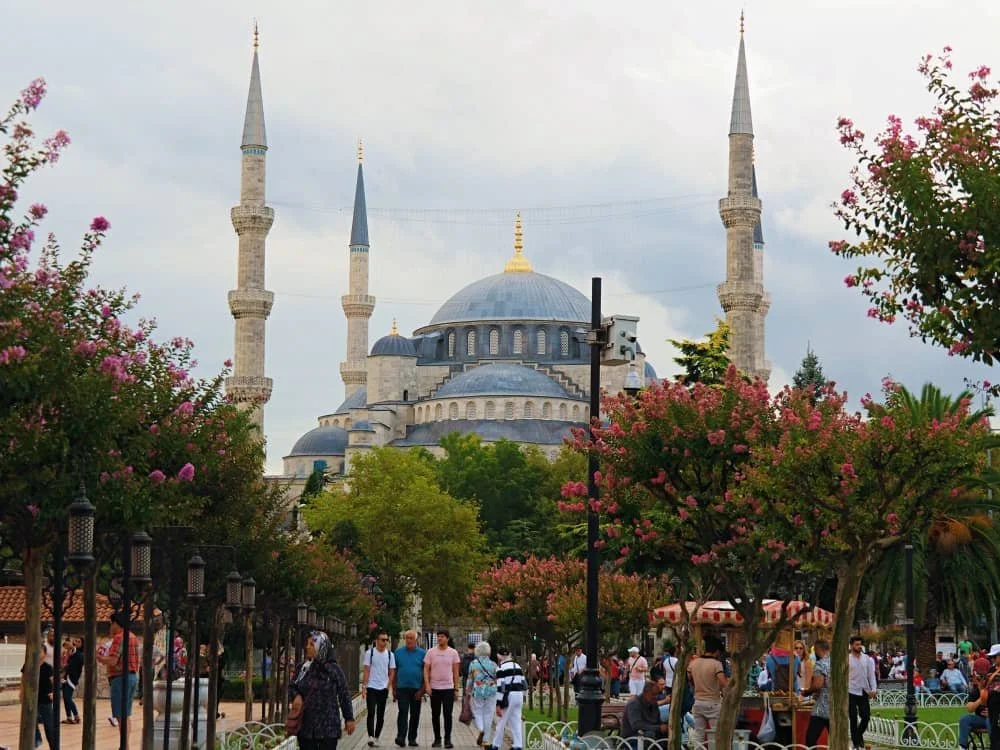 Blue Mosque surrounded by trees in Sultanahmet