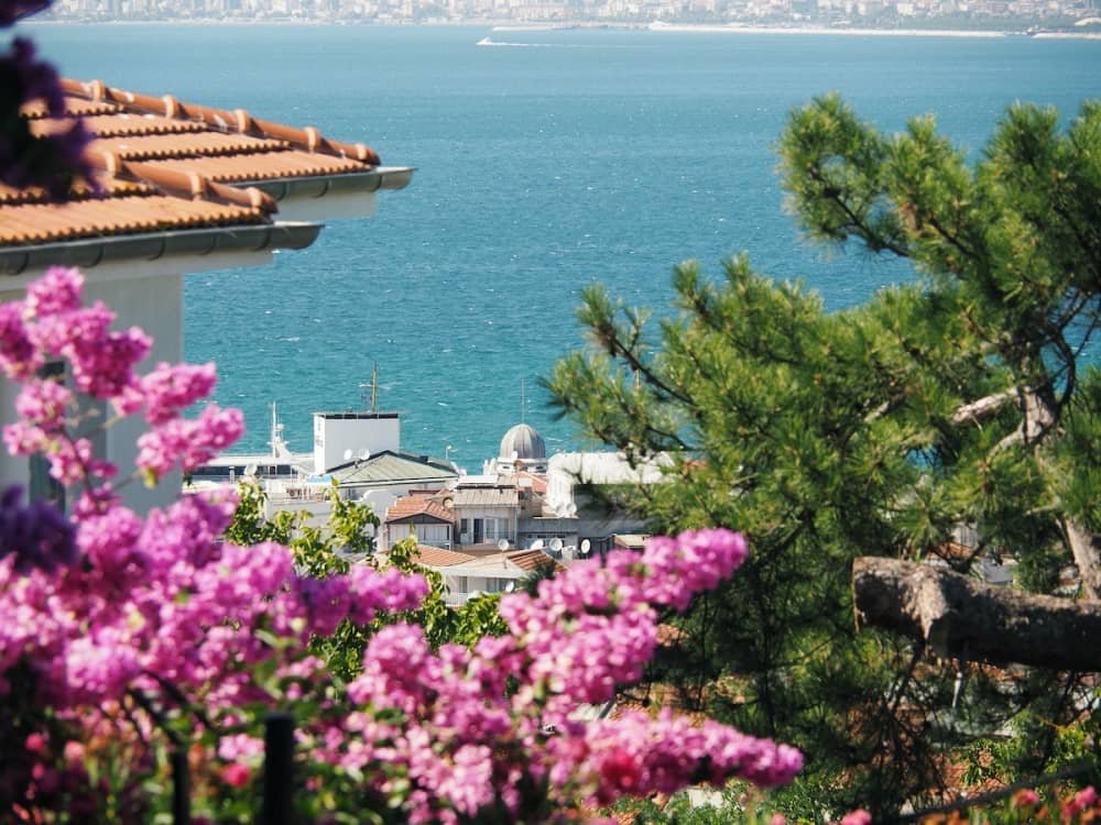 14 day travel itinerary turkey A small grey dome of a mosque and the blue sea behind it framed by bright pink flowers and trees on the Princesâ Islands in Istanbul in TĂŒrkiye