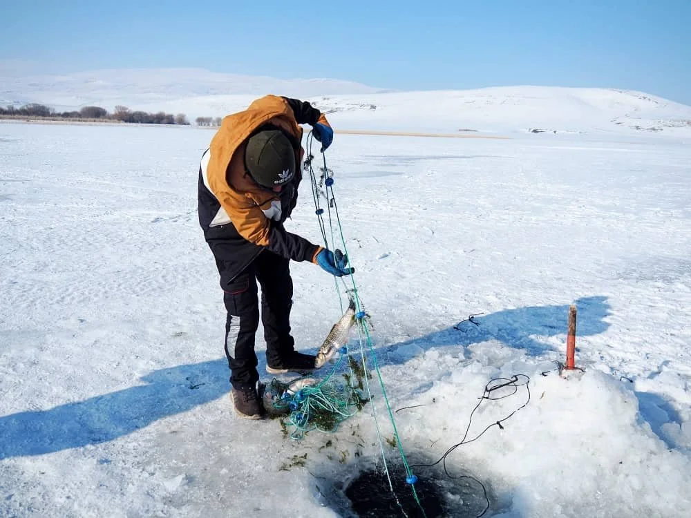 A fisherman pulls a net with a fish on it out of a hole he has cut on the ice in Lake Cildir in Kars, Turkey