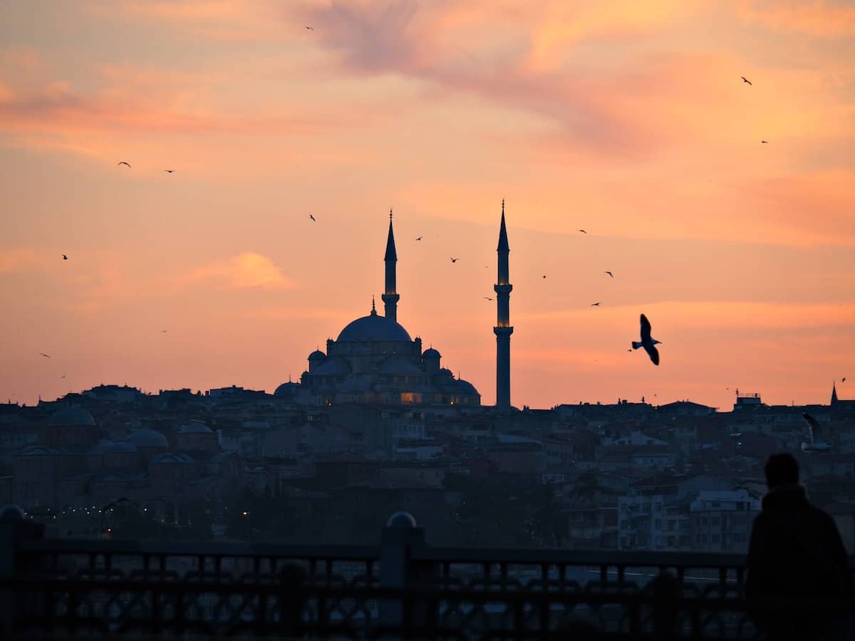 14 day travel itinerary turkey A mosque in Istanbul at sunset with a seagull flying past, two weeks in turkey itinerary